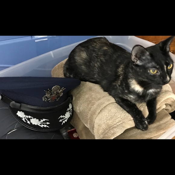 Meet your Posher, Elizabeth - Picture 8 of 8